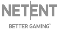Meflet logo